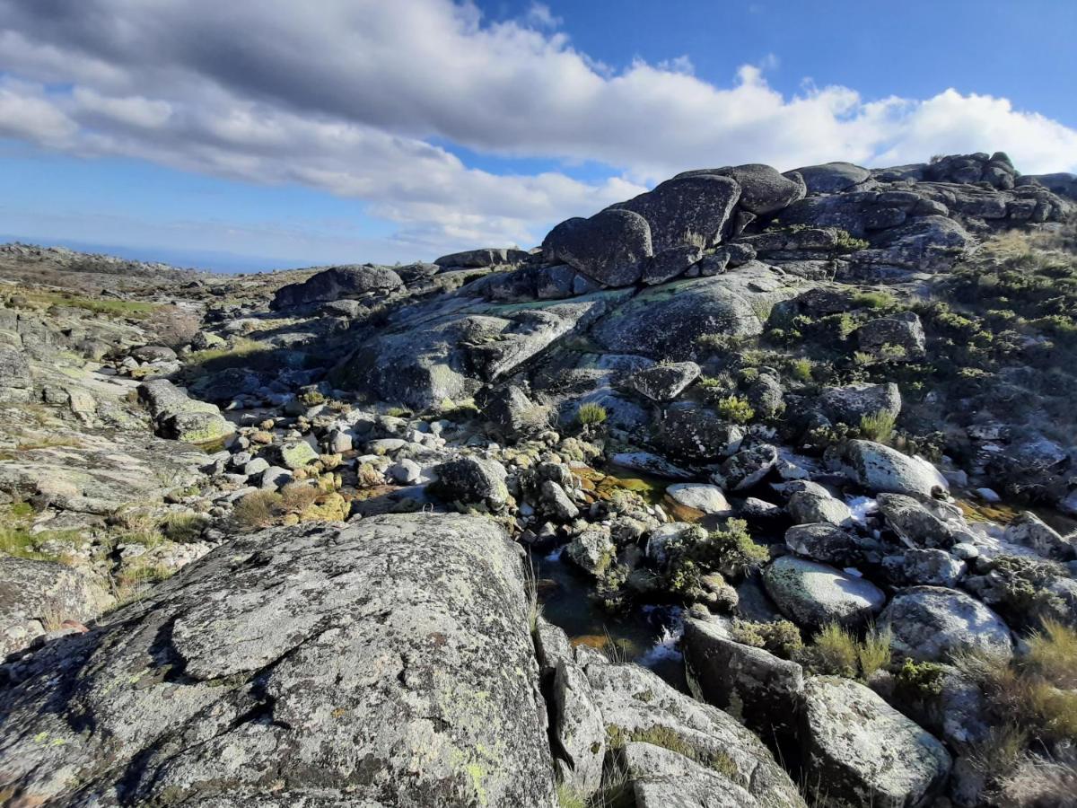 Casa Da Bela Vista - Serra Da Estrela Covilhã Dış mekan fotoğraf