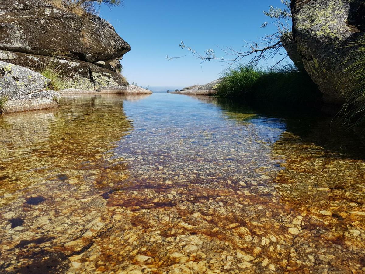 Casa Da Bela Vista - Serra Da Estrela Covilhã Dış mekan fotoğraf